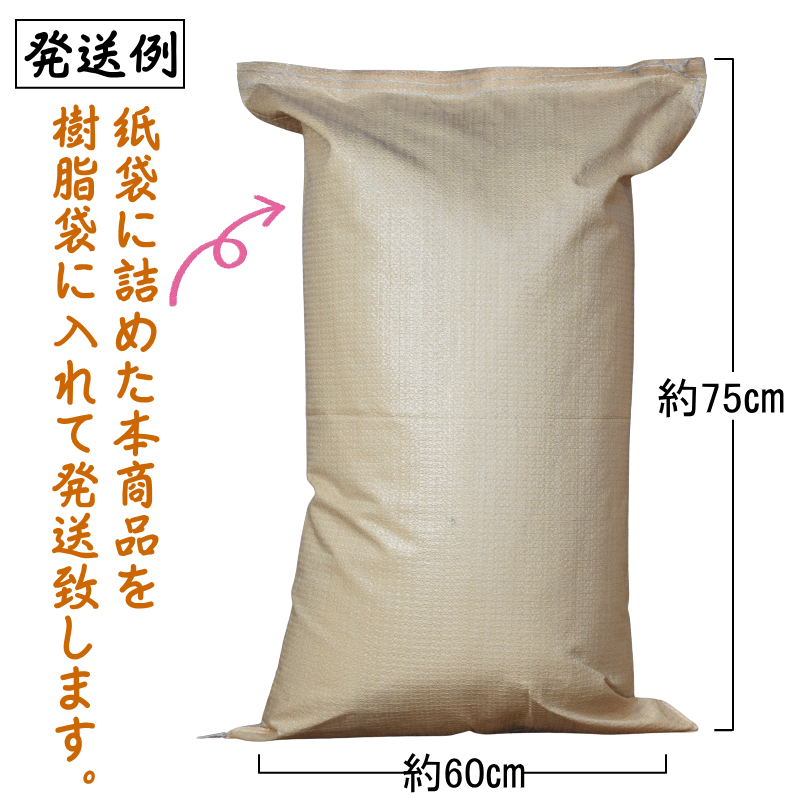 国産 小麦 粒 ネバリゴシ 800g 青森県産 全粒小麦 未精白 中力粉