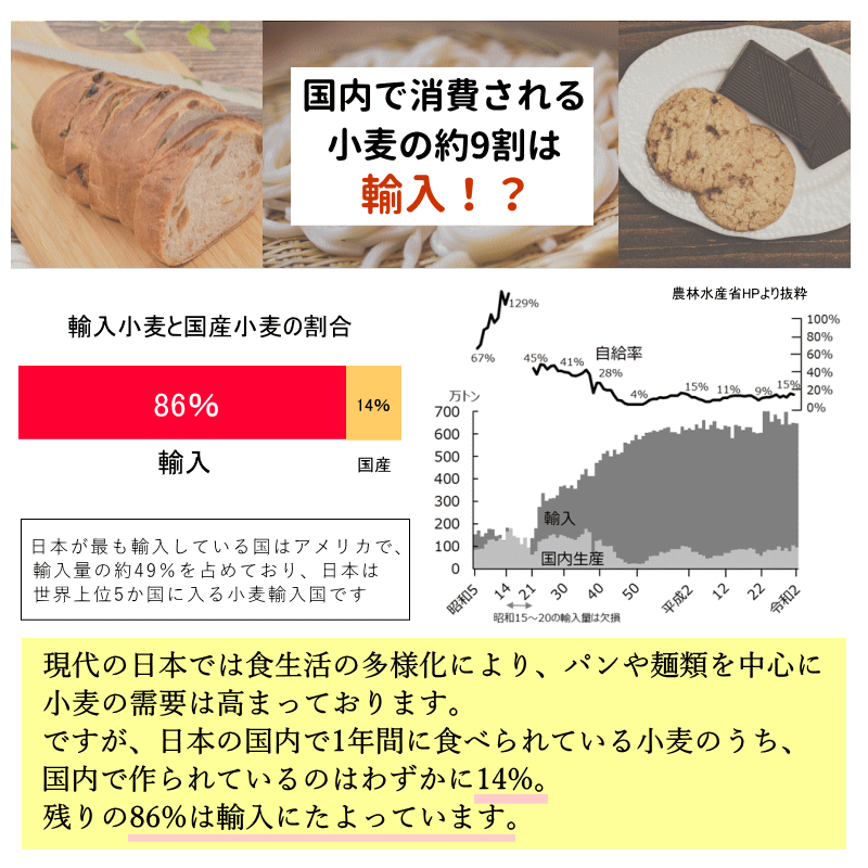 国産 小麦 ネバリゴシ 青森県産 パン や 製麺作り に適した 中力系 玄小麦 全粒小麦 送料無料 全粒粉 製粉前 中力粉