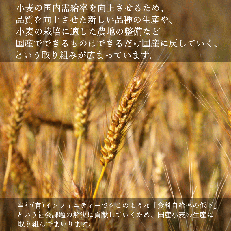 国産 小麦 ネバリゴシ 青森県産 パン や 製麺作り に適した 中力系 玄小麦 全粒小麦 送料無料 全粒粉 製粉前 中力粉