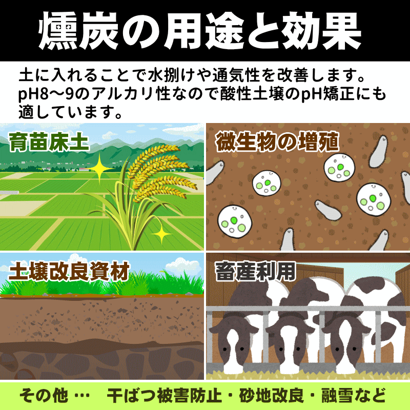 籾殻燻炭 籾殻くん炭 80リットル 送料無料 青森県産米籾殻燻炭 良い土づくり くんたん もみがらくんたん もみ殻くん炭 もみがらくん炭 もみ殻 燻炭  : momigara-kuntan-80 : グルメ通り ヤフー店 - 通販 - Yahoo!ショッピング