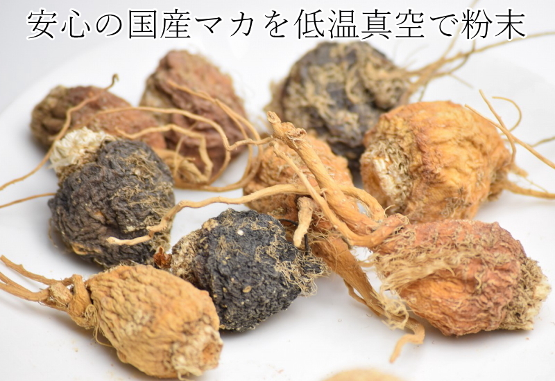 マカ 純度100％ 栽培期間中農薬不使用 国産 粉末 100g マカ