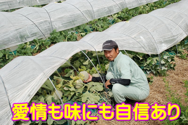 8月上旬発送メロン 訳あり 約5kg 3玉〜5玉 タカミメロン 青森県産 送料