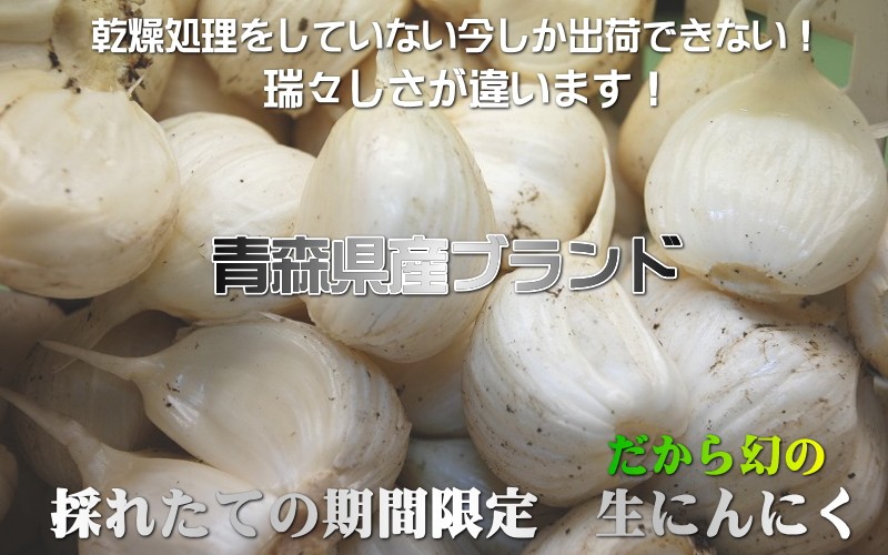【にんにく】【青森にんにく】【にんにく１kg】【青森県産にんにく】