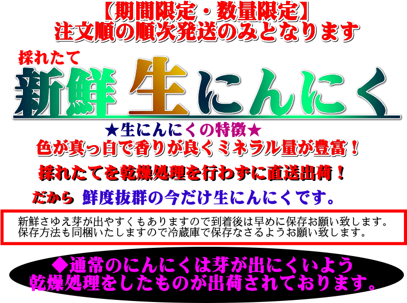 【にんにく】【にんにく１kg】【青森県産ニンニク】