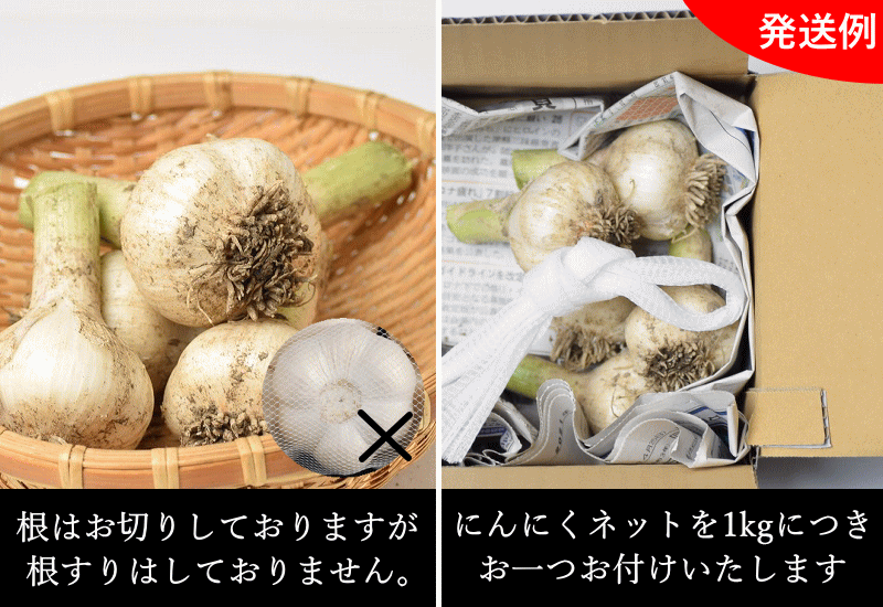 【青森県産にんにく】【青森にんにく】【ニンニク】