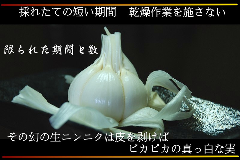 【にんにく】【青森にんにく】【にんにく１kg】【青森県産にんにく】