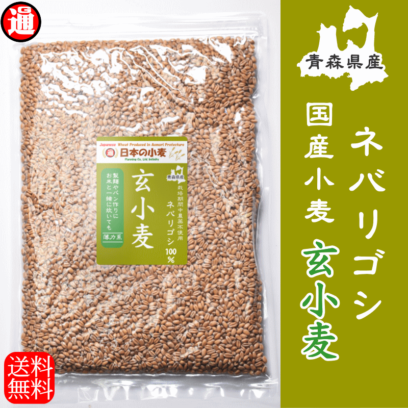 ネバ玄粒 小麦 栽培期間中 農薬不散布 国産 玄小麦 ネバリゴシ 40kg 5kg×8 送料無料 業務用 国産玄小麦 全粒小麦 中力粉 国産小麦 国産小麦を使用 :nebarigoshi 003:グルメ通り ヤフー店