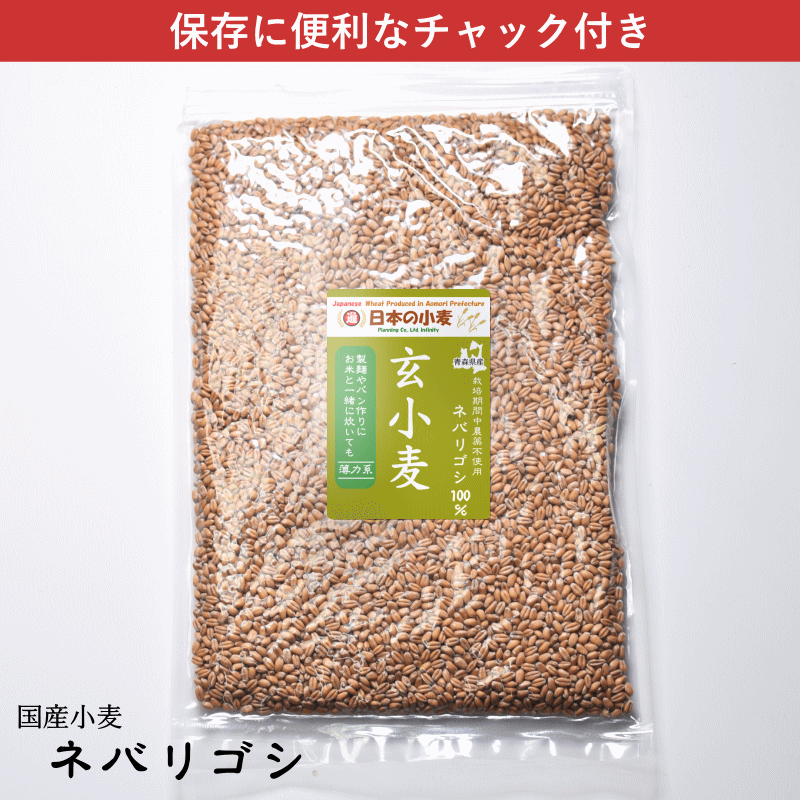 小麦 栽培期間中 農薬不散布 国産 玄小麦 ネバリゴシ 800g 送料無料