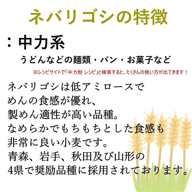 国産 小麦 ネバリゴシ 青森県産 パン や 製麺作り に適した 中力系 玄小麦 全粒小麦 送料無料 全粒粉 製粉前 中力粉