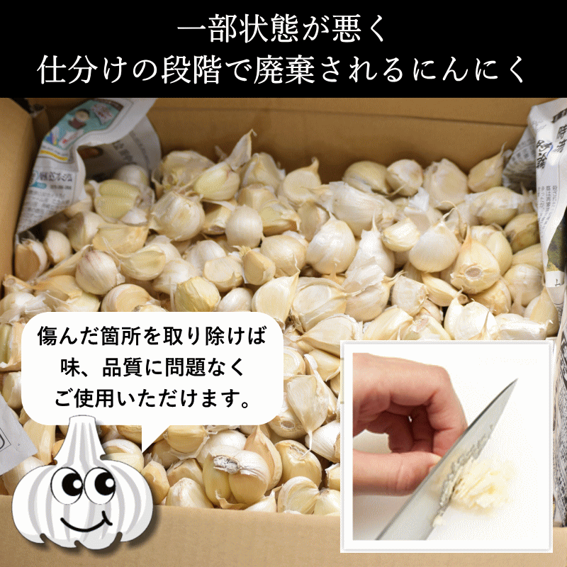 にんにく 約10kg 加工用 全訳あり 全て訳ありの格安販売 送料