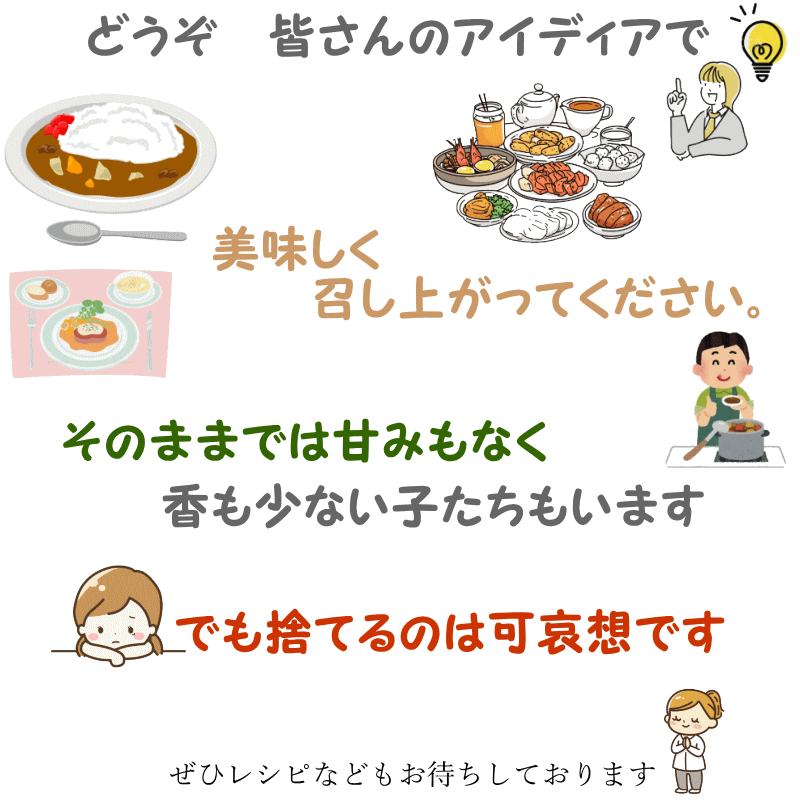 青森りんご【りんご】【訳あり】【家庭用】