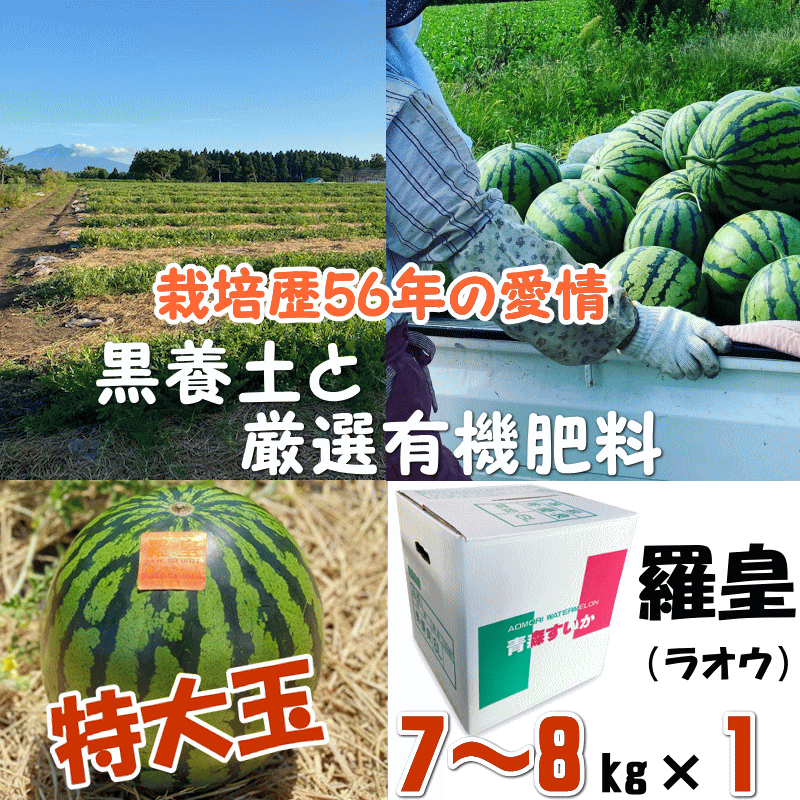  らおう ラオウ 羅皇 羅王 すいか スイカ 西瓜 アグリビーツ