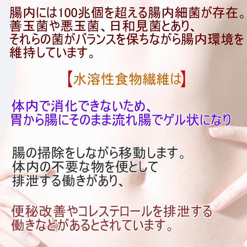 赤菊芋パウダー