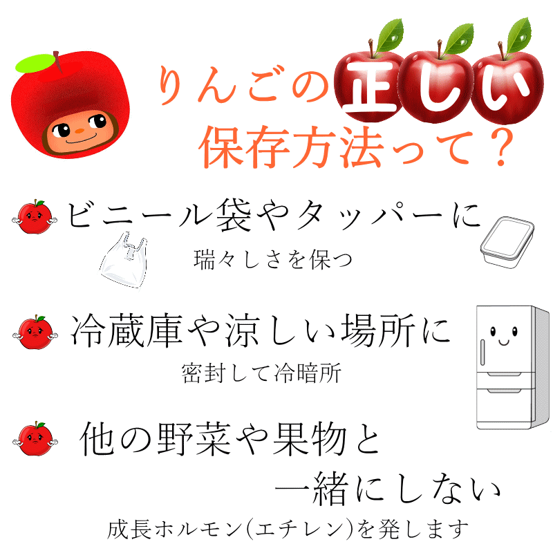 【りんご】【加工用りんご】