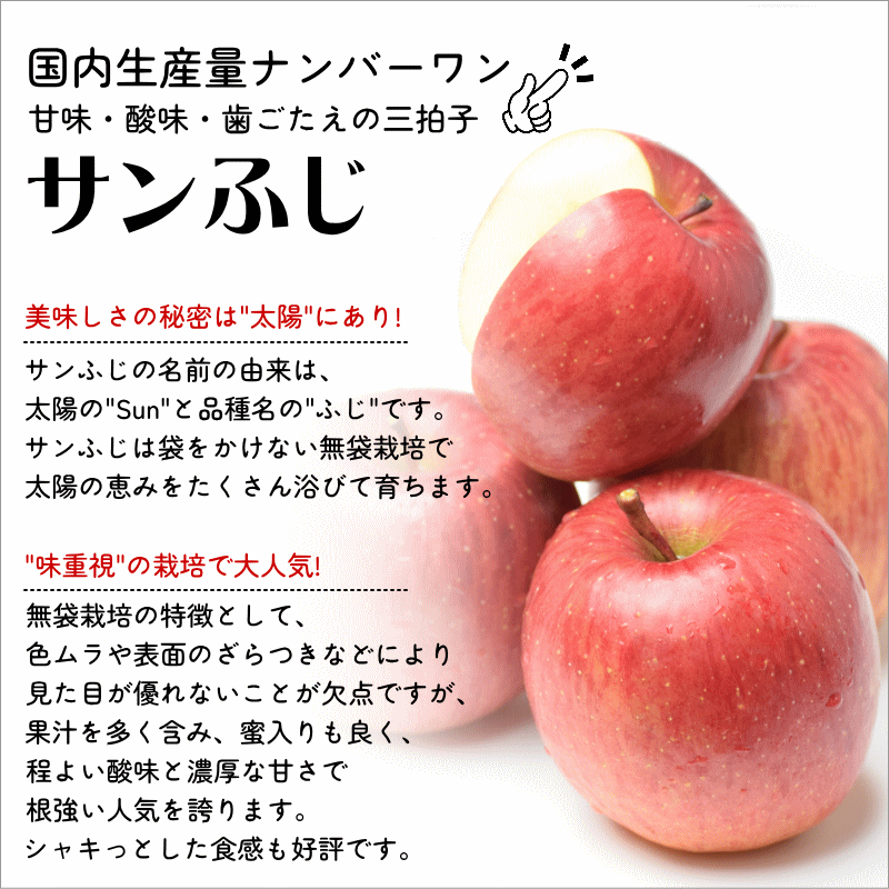 無添加 りんごジュース 青森 送料無料 1L×6本 100% ストレート 飲む生