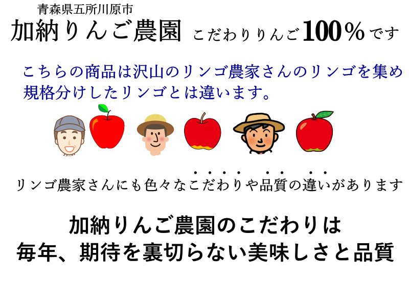 【りんご】【訳あり】【家庭用】