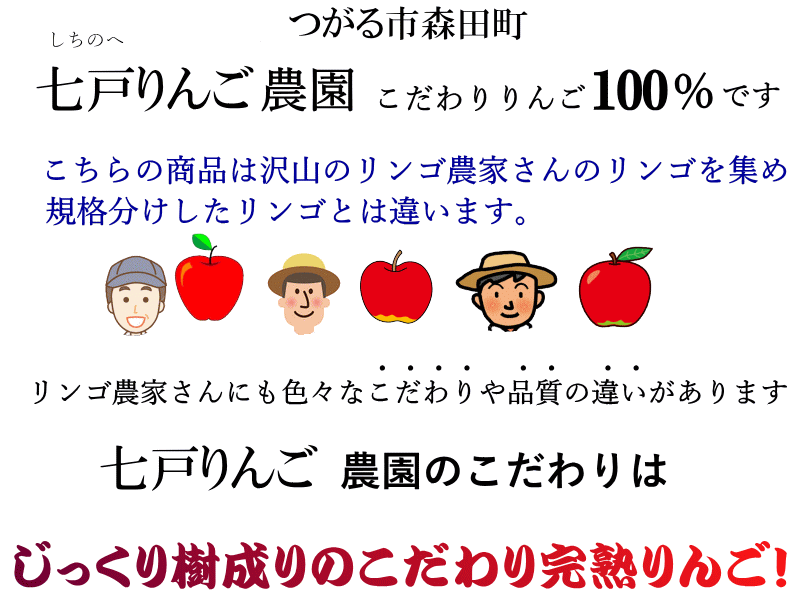 青森りんご【りんご】【訳あり】【家庭用】