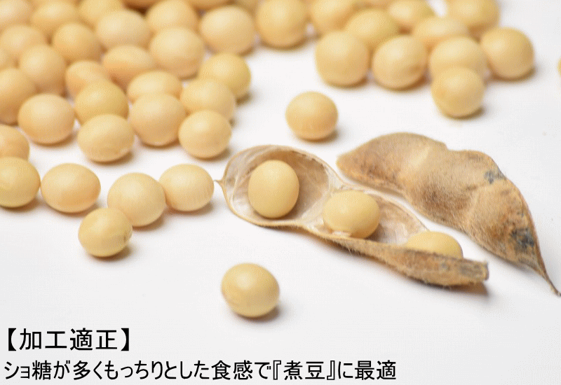 国産 大豆 鶴の子 青森県産 大粒大豆 生みそ 味噌 無添加  津軽 いながき味噌　稲垣味噌