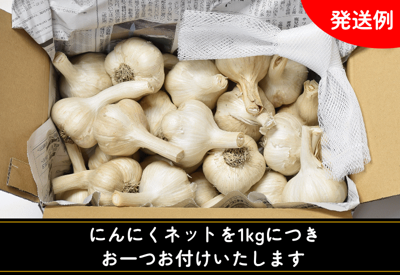 つがるにんにく【ニンニク】【青森産ニンニク】【ニンニク１kg】【青森ニンニク】