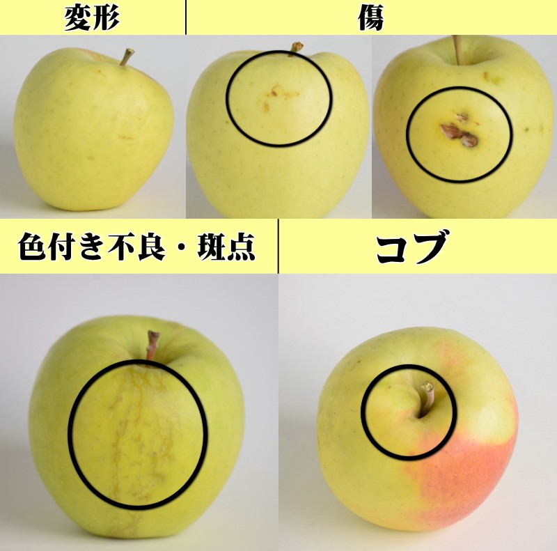 ぐんま名月 5kg 宮西農園 青森 りんご 訳あり 送料無料 家庭用 甘みと