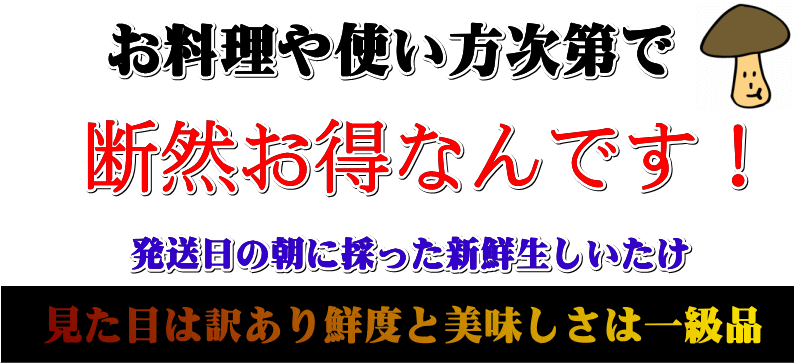 椎茸 送料無料 5kg 生シイタケ 訳あり 500g 10 味は一級品 朝採れたて菌床栽培 生椎茸 Siitake Wake 5kg グルメ通り 通販 Yahoo ショッピング