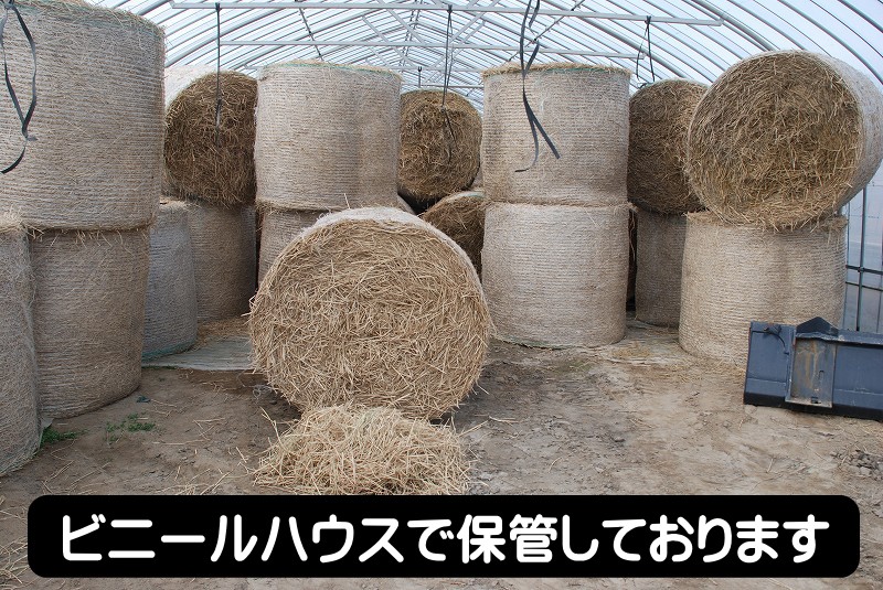 稲ワラ 藁 敷わら　1本180kg-200kg 干し草 土づくり クッション材 ぼかし堆肥 雑草対策 マルチング 土壌改良剤