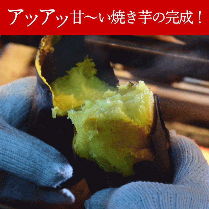 シルクスイート 青森県産