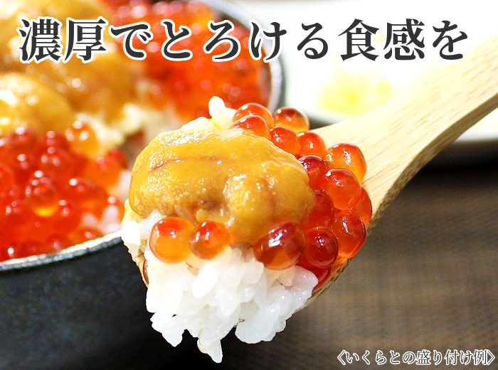 生ウニ 塩水うに 北海道産 200g (100g×2パック入) 刺身 天然 無