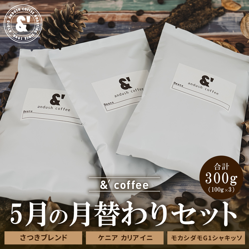 コーヒー豆 福袋 送料無料 珈琲豆 5月 月替わりセット 300g 約30杯分 