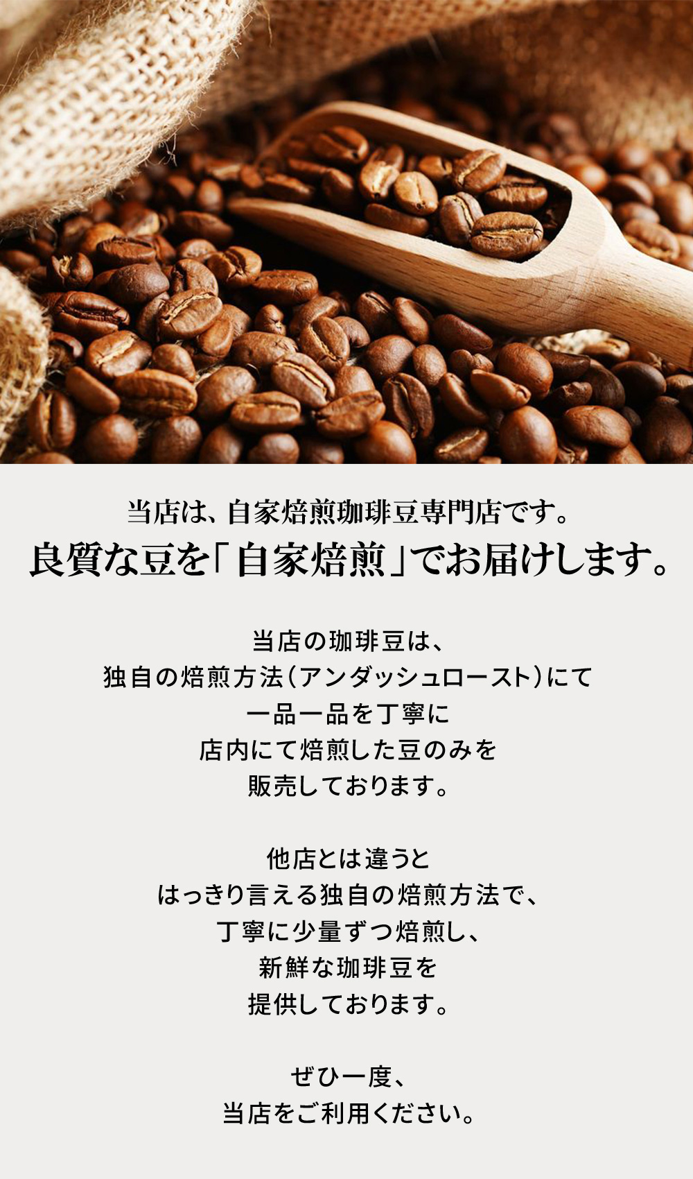 コーヒー豆 自家焙煎 酸味の少ない コク深い コーヒーセット 【送料