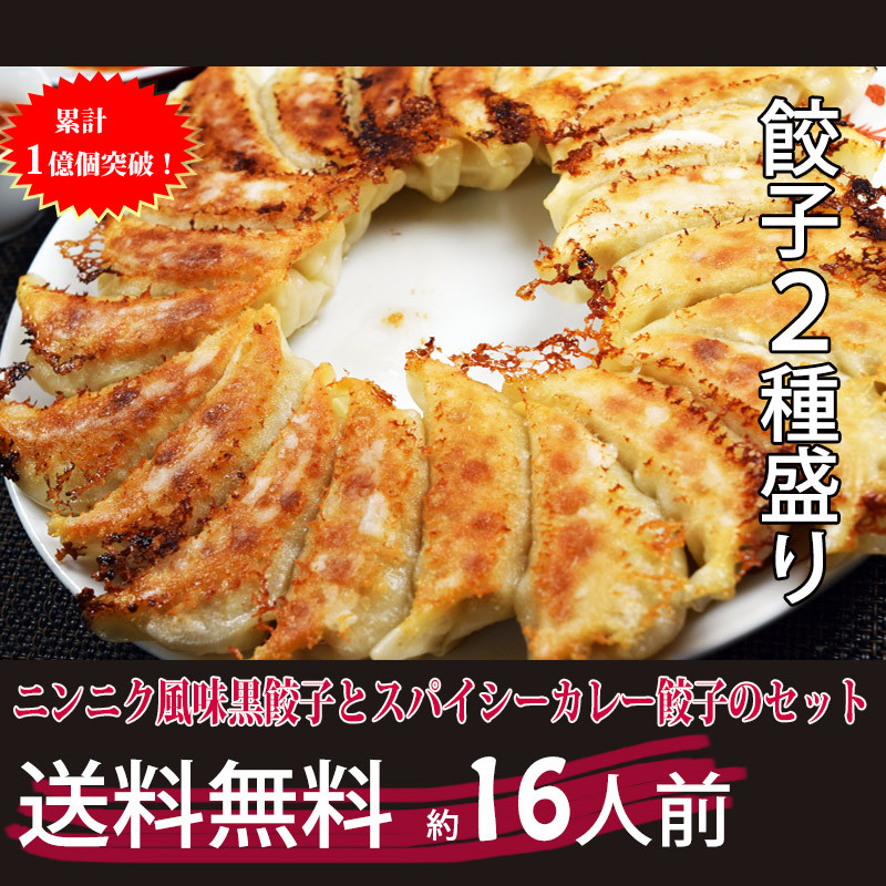 黒餃子48個 カレー餃子48個 ぎょうざ 餃子 冷凍餃子 惣菜 点心 お取り寄せ グルメ ご家庭料理 ギフト お中元 送料無料