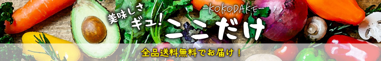 最大の割引 訳あり 国産 海苔 切れ端 100g 高品質 茨木海苔 もみのり 大容量 業務用 乾きのり 食品ロス削減 のり ノリ 厳選 良質 そば  お買い得 お得 乾き海苔 国内 自宅 whitesforracialequity.org