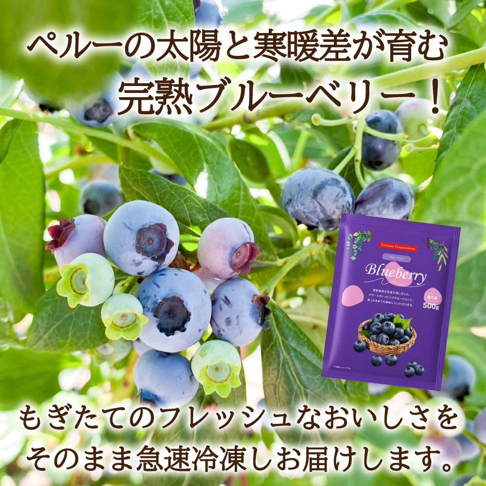 トマトコーポレーション 冷凍 ブルーベリー BL-1 大容量 ぺルー産 業務