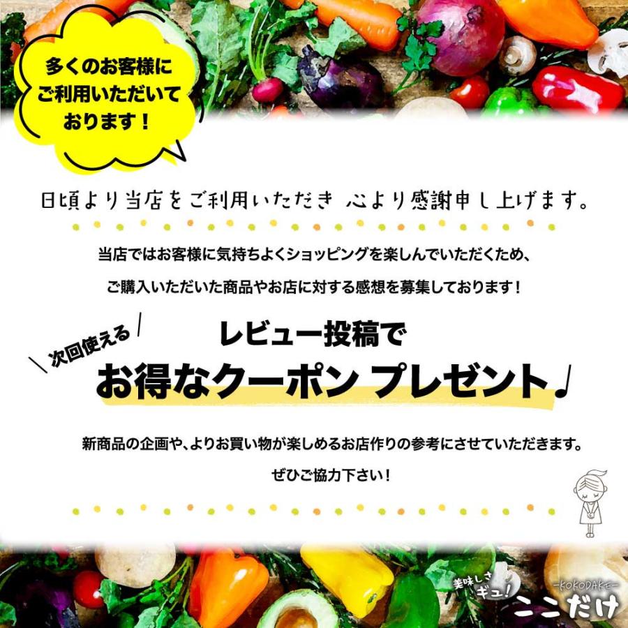 昭和産業 SHOWA ホームベーカリー用パンミックス (290g×3袋)小麦粉