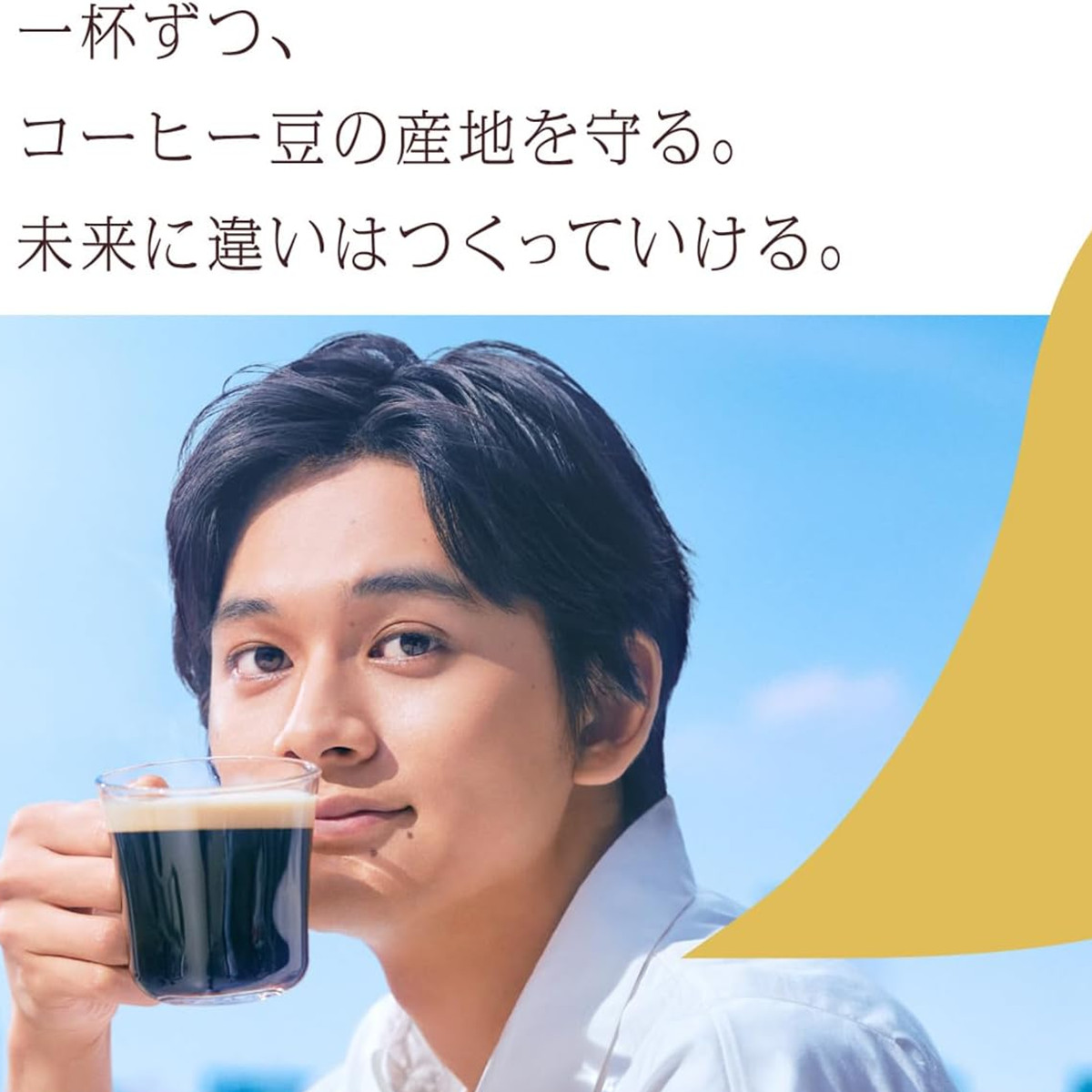 Nestle（ネスレ） ゴールドブレンド エコ＆システムパック 95g×4本