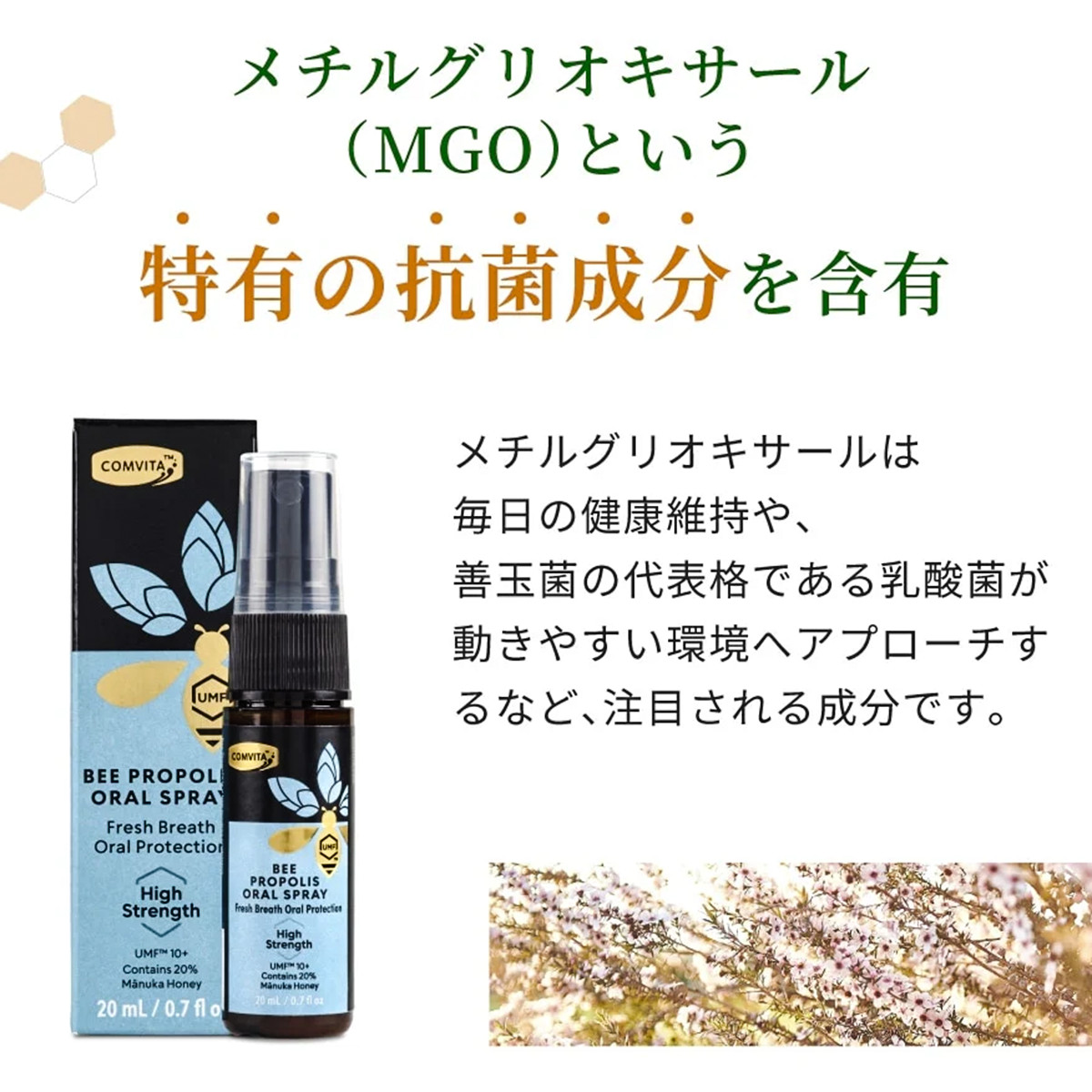 プロポリスオーラルスプレー 20ml x 3本 : GYY - 通販 - Yahoo