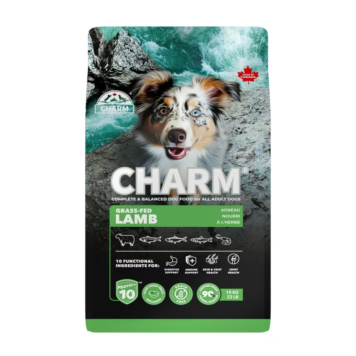 CHARM 草で育てたラム 10kg ドッグフード チャーム グラスフェッドラム ドッグフード 10kg: 500｜業務用 ドッグフード