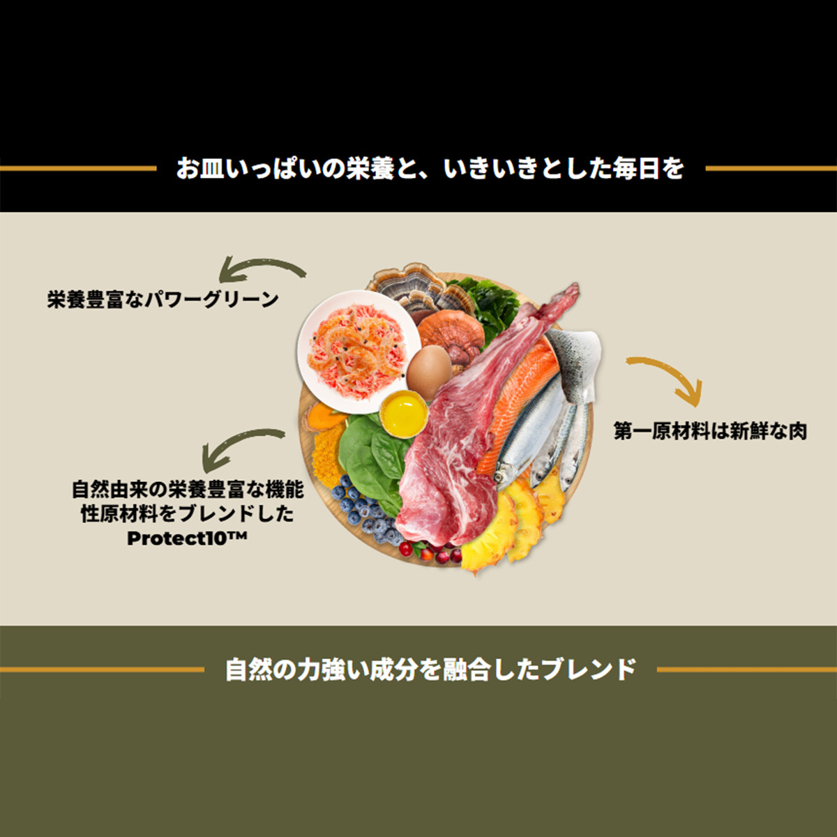チャーム（charm） グラスフェッドラム 10kg ドッグフード