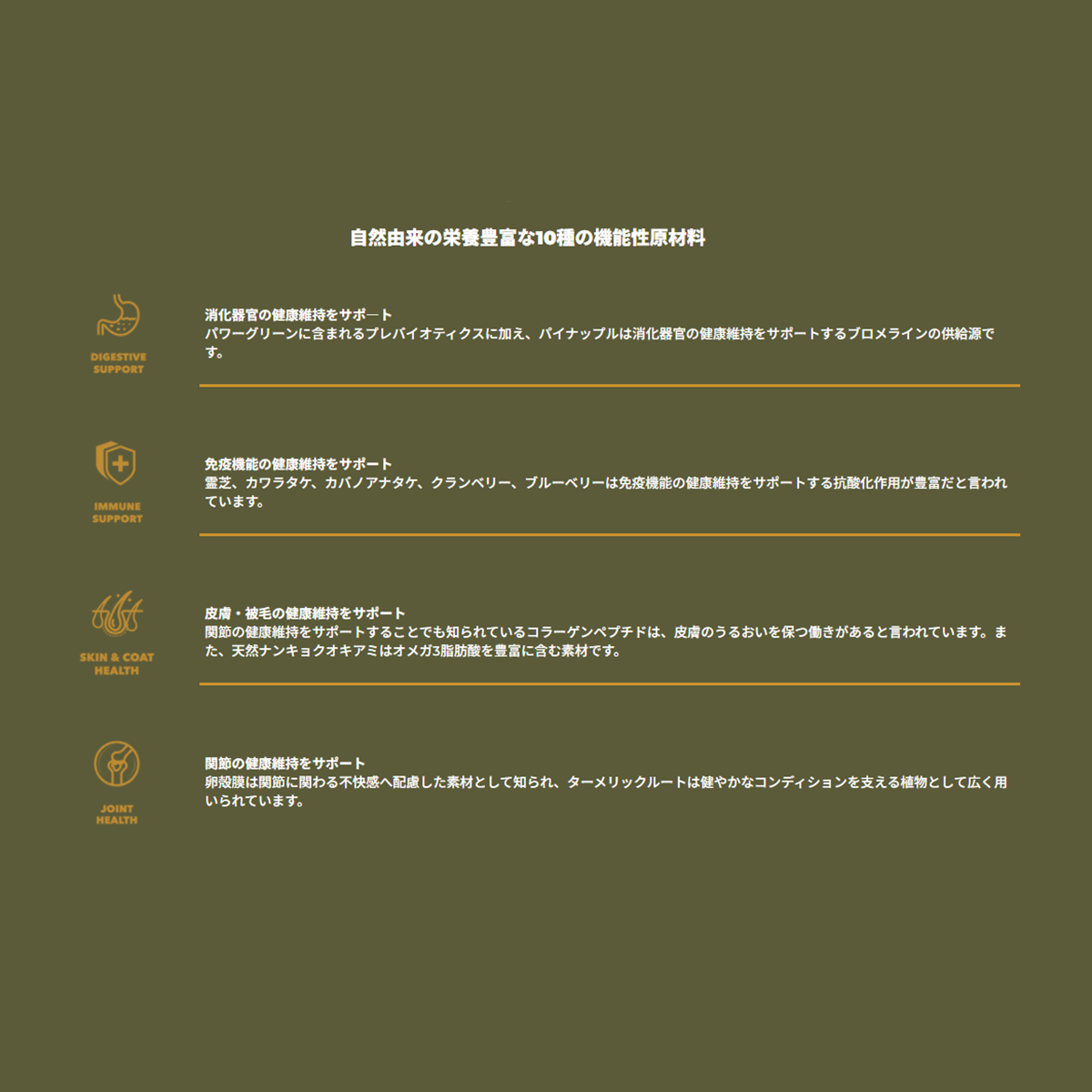 チャーム（charm） グラスフェッドラム 10kg ドッグフード