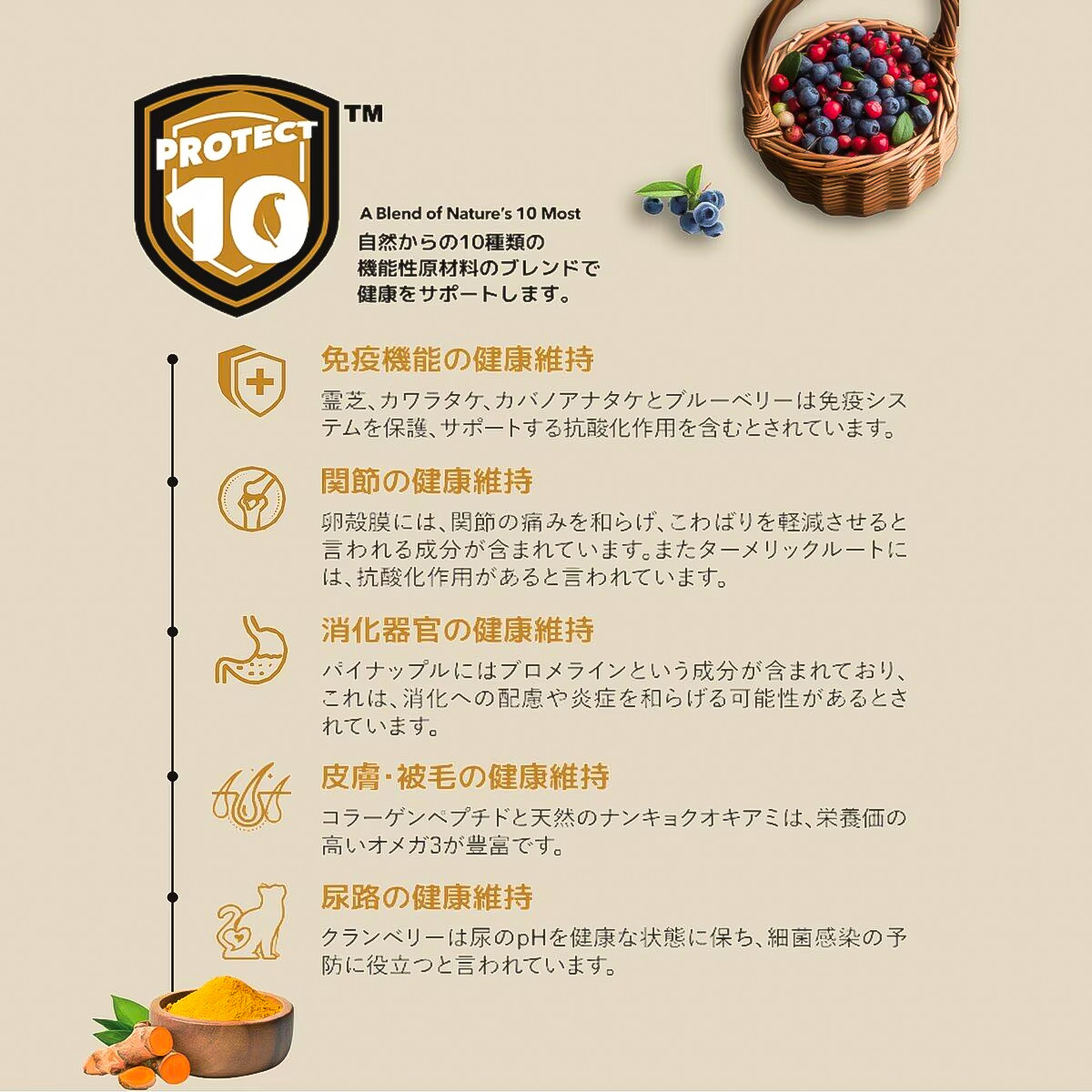 チャーム（charm） オーシャンフィッシュ 10kg ドッグフード