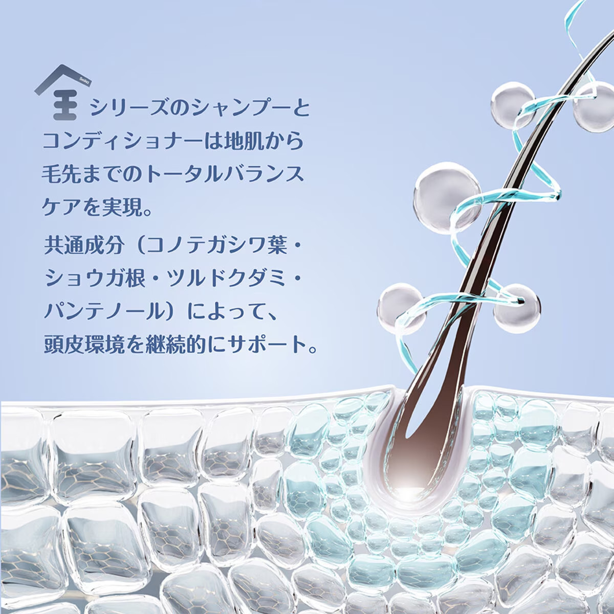 Seika 全 シャンプー & コンディショナー セット 400ml x 2 : GYY