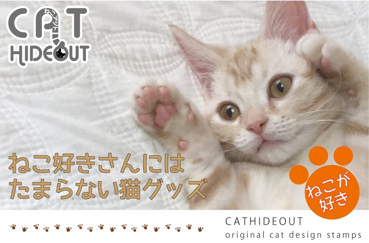 ねこアジトトップイメージ