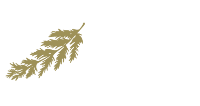 Instagramライブ配信