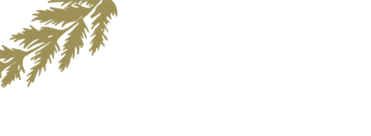 Instagramライブ配信