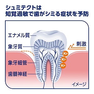 薬用シュミテクト 息フレッシュ＆口中クリーン 知覚過敏予防 90g 1本 グラクソ・スミスクライン 歯磨き粉 シミるのを防ぐ