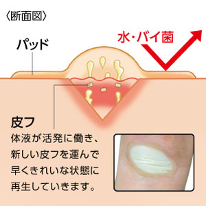 傷などがあります。箱はありません 楽天市場】スリットスリーブ水彩ラインフラワープリント