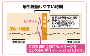 LOHACO - 排卵日予測検査薬 ドゥーテストLHＩＩ 12回分 ロート製薬 尿中の黄体形成ホルモン（LH）の検出【第1類医薬品】