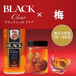 LOHACO - 送料無料 ウイスキー ブラックニッカクリア（BLACK NIKKA Clear） ペットボトル 4.0L ウイスキー