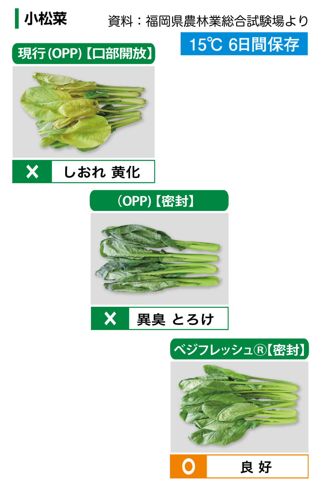 ホリックス　ベジフレッシュ　チャック付　野菜専用　鮮度保持袋　Lサイズ　141721　1袋（5枚入）