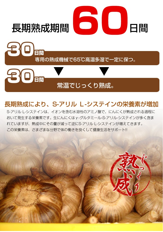 長期熟成期間60日間長期熟成により、S-アリル Ｌ-システインの栄養素が増加S-アリル L-システインは、イオンを含む水溶性のアミノ酸で、にんにくが熟成される過程において発生する栄養素です。生にんにくはγ-グルタミール-S-アリル-システインが多く含まれていますが、熟成中にその量が減って逆にS-アリル L-システインが増えてきます。この栄養素は、さまざまな分野で体の働きを良くして健康生活をサポート!!